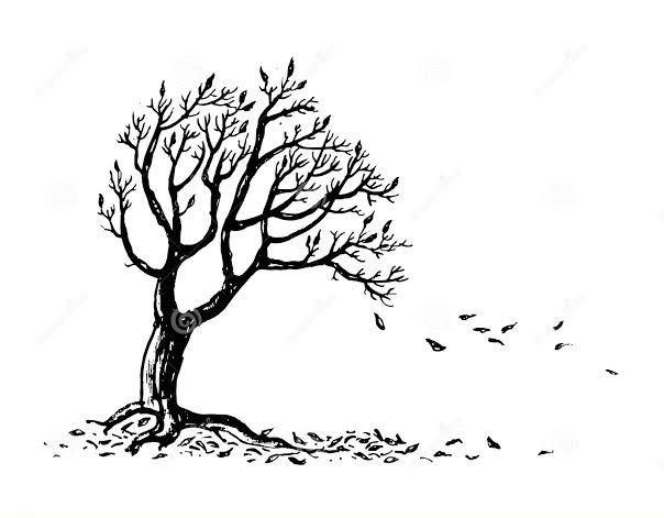 ØºØ²Ù„Û”ÙˆÙˆÙ†ÛŒ